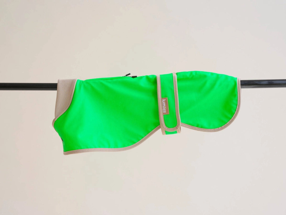 Glow Raincoat - Neon Green Gecko