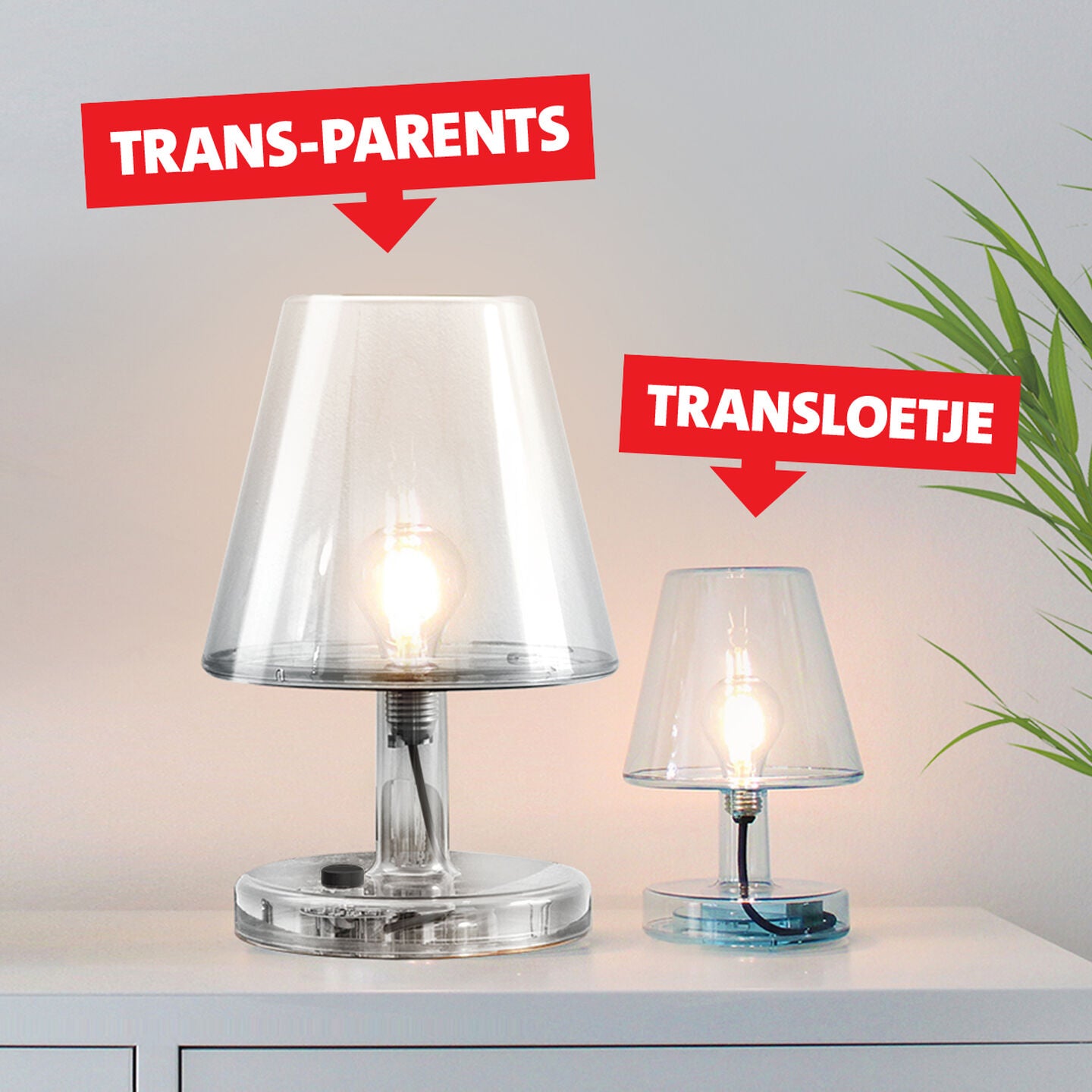 Trans-parents Table Lamp