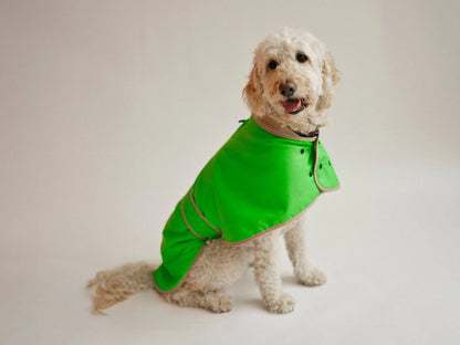 Glow Raincoat - Neon Green Gecko