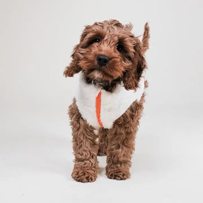 Sherpa Fleece Dog Vest - Cream