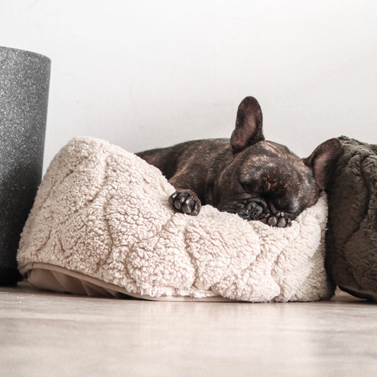 Taart Dog Bed