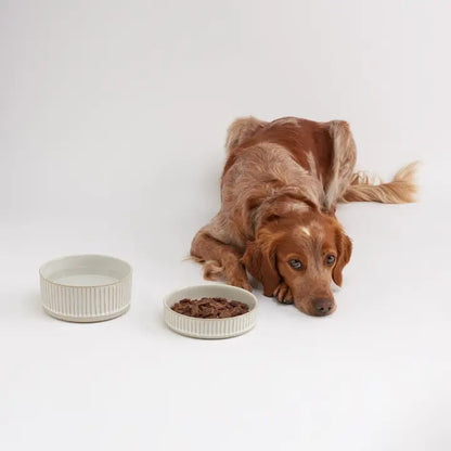 Dog Water Bowl – White Scalloped Stoneware