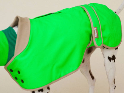 Glow Raincoat - Neon Green Gecko
