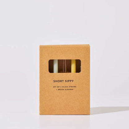 Short Sippy Straw Set - Sunset