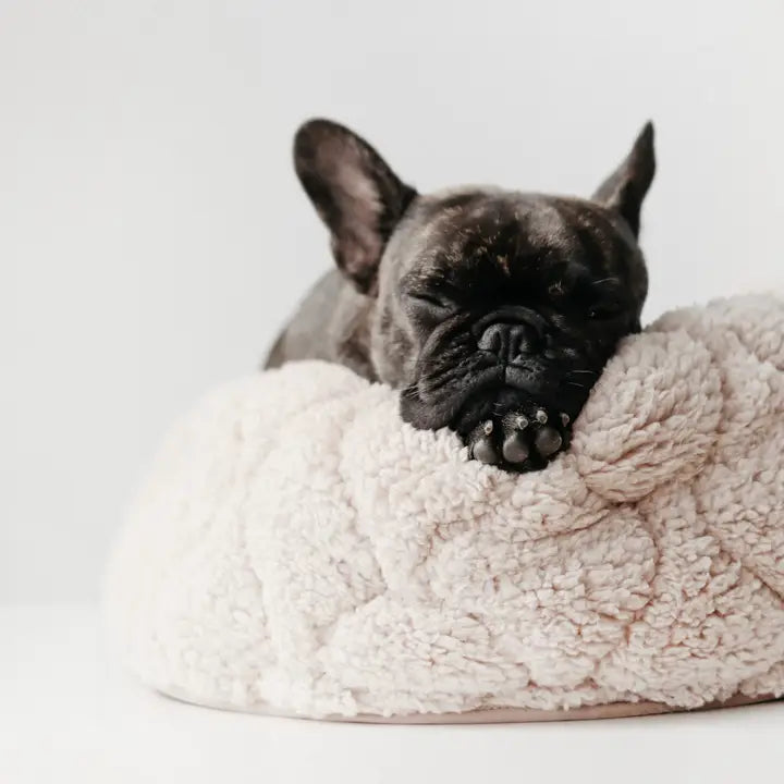 Taart Dog Bed