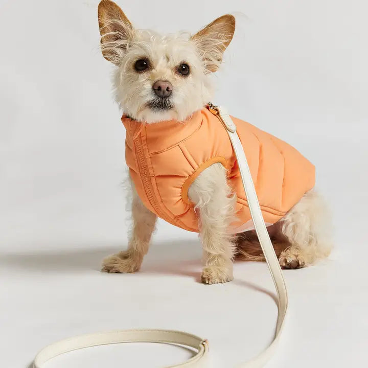 Reversible Puffer Jacket - Coral & Khaki