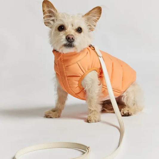 Reversible Puffer Jacket - Coral & Khaki