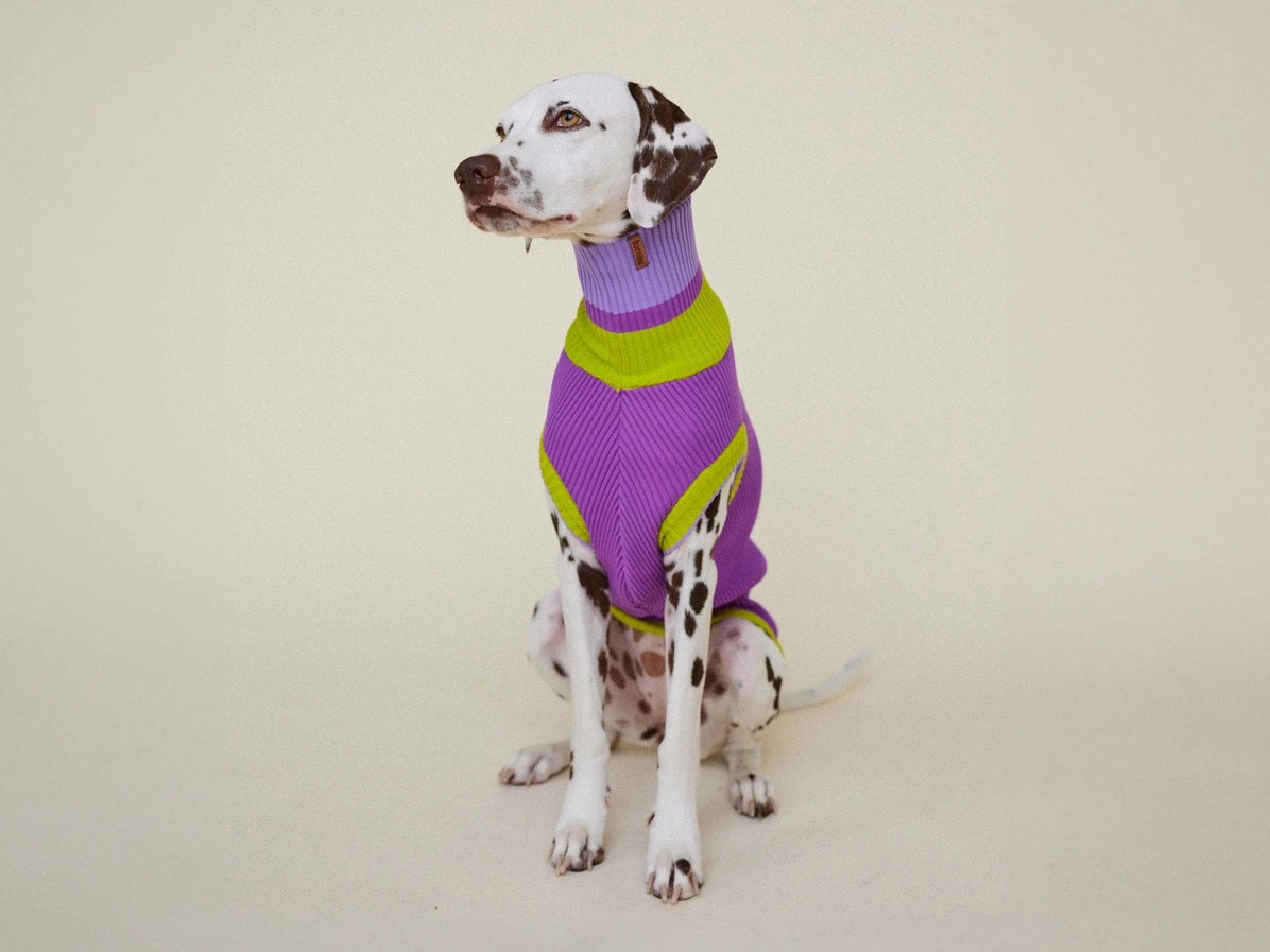 Glow Jumper - Viola Spring