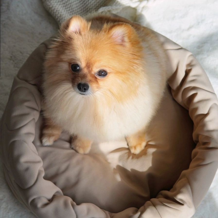 Taart Dog Bed