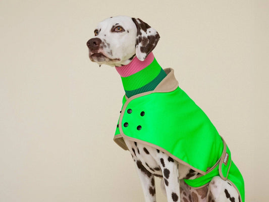 Glow Raincoat - Neon Green Gecko