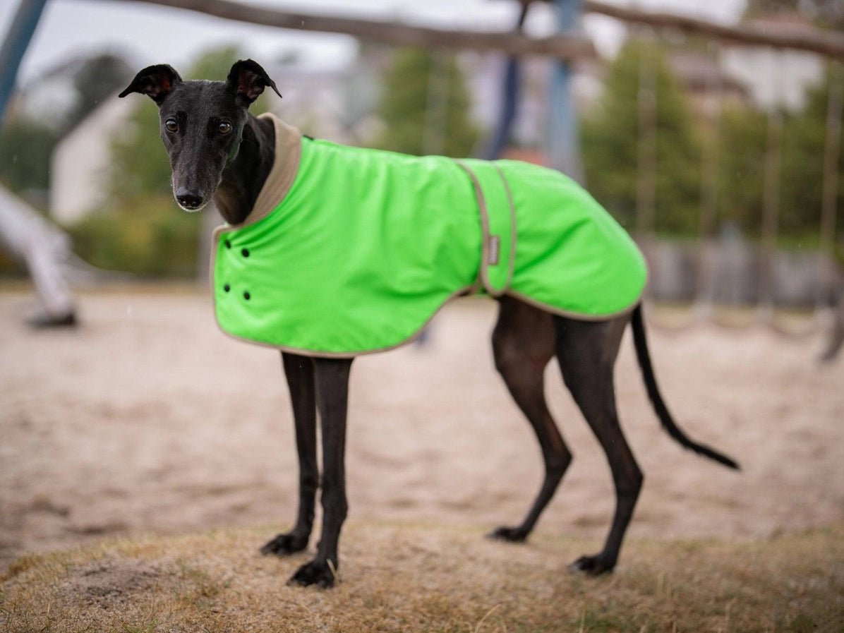 Glow Raincoat - Neon Green Gecko