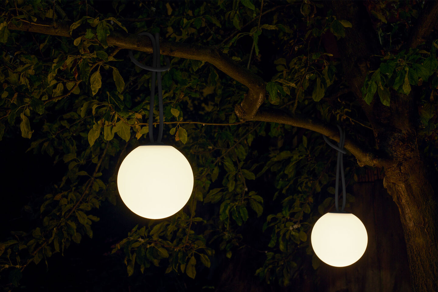 Bolleke - Hanging Lamp