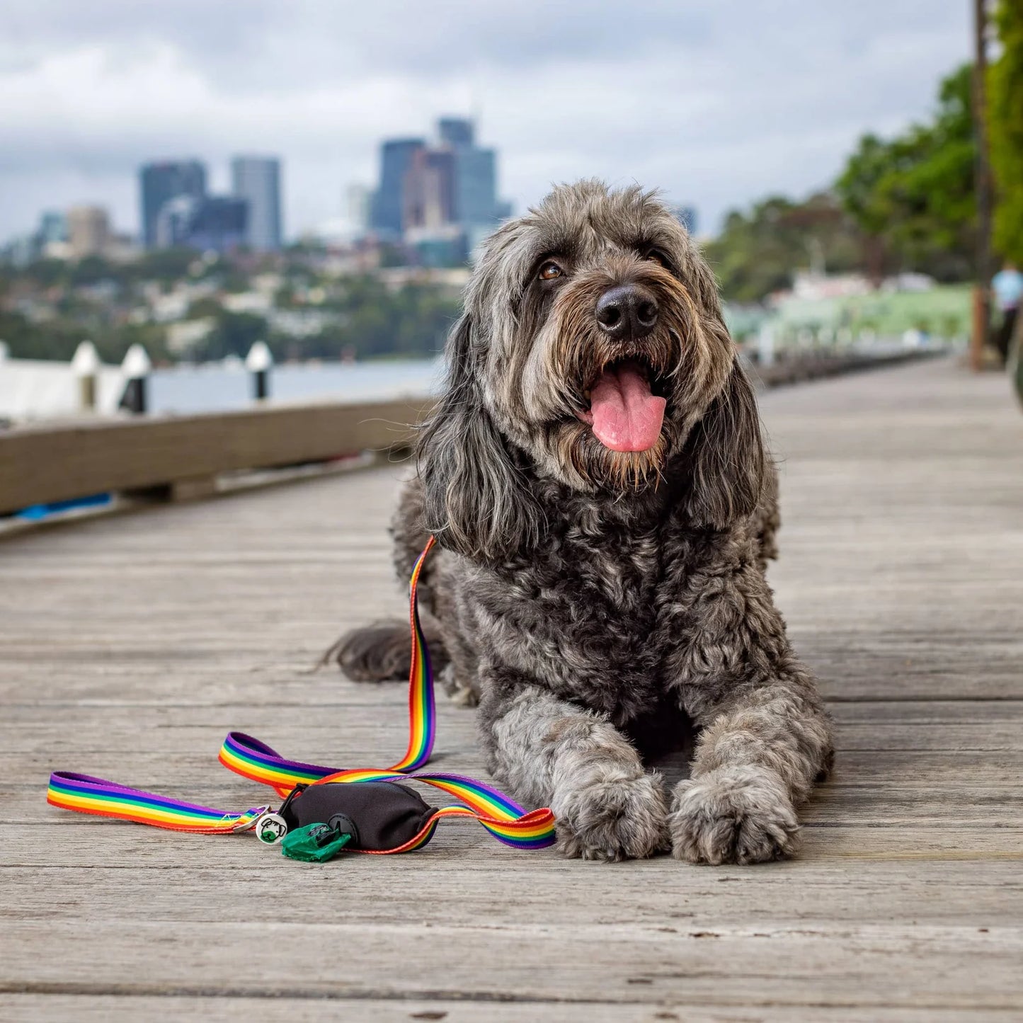 Rainbow Lead – Built-In Pocket