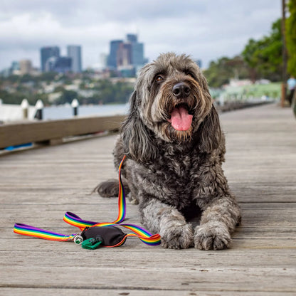 Rainbow Lead – Built-In Pocket